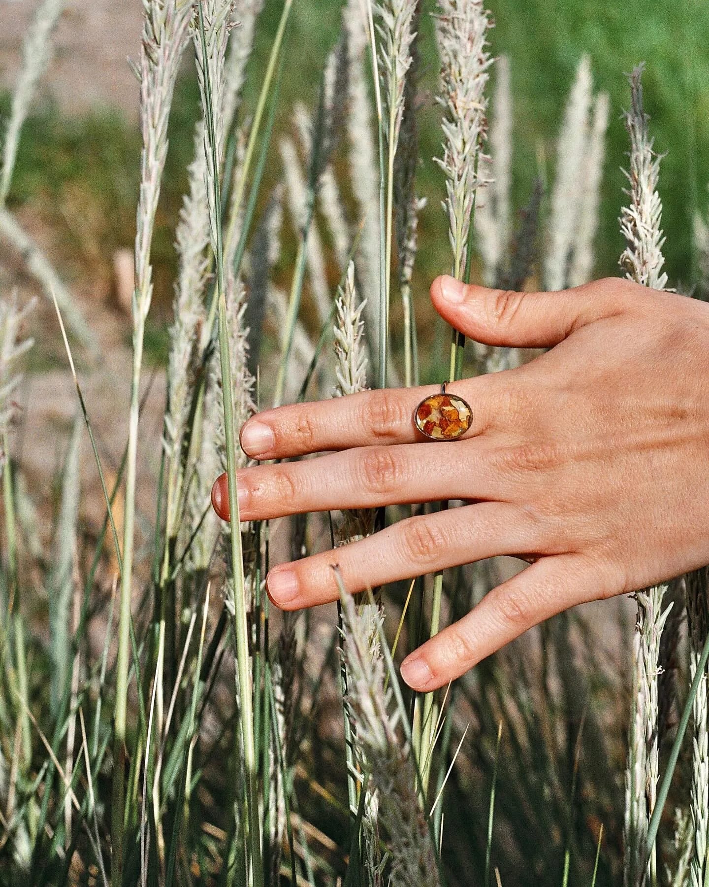 Anillo con piedra ámbar en una mano entre espigas de campo