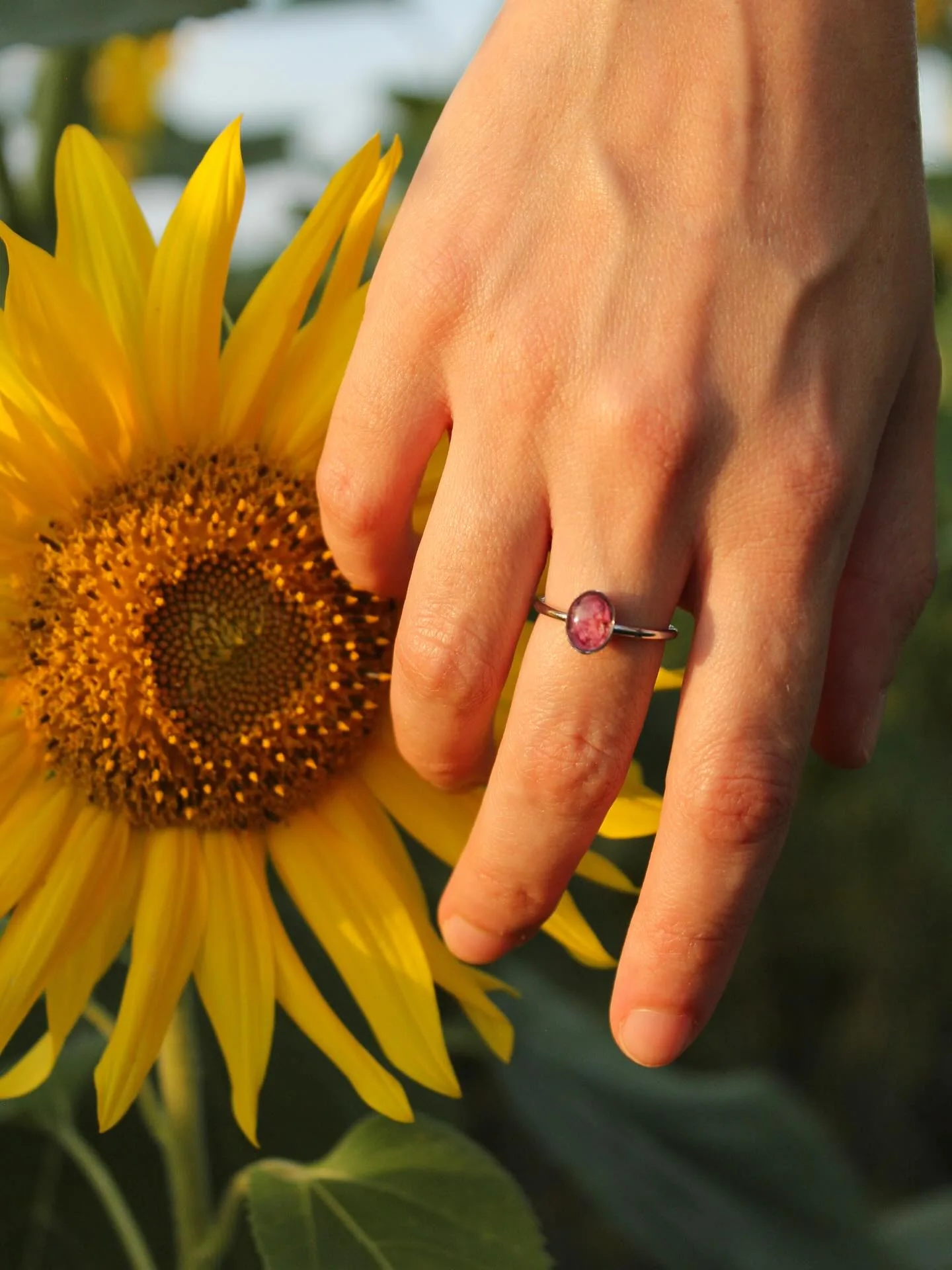 Anillo con una flor morada en la mano, sobre un girasol