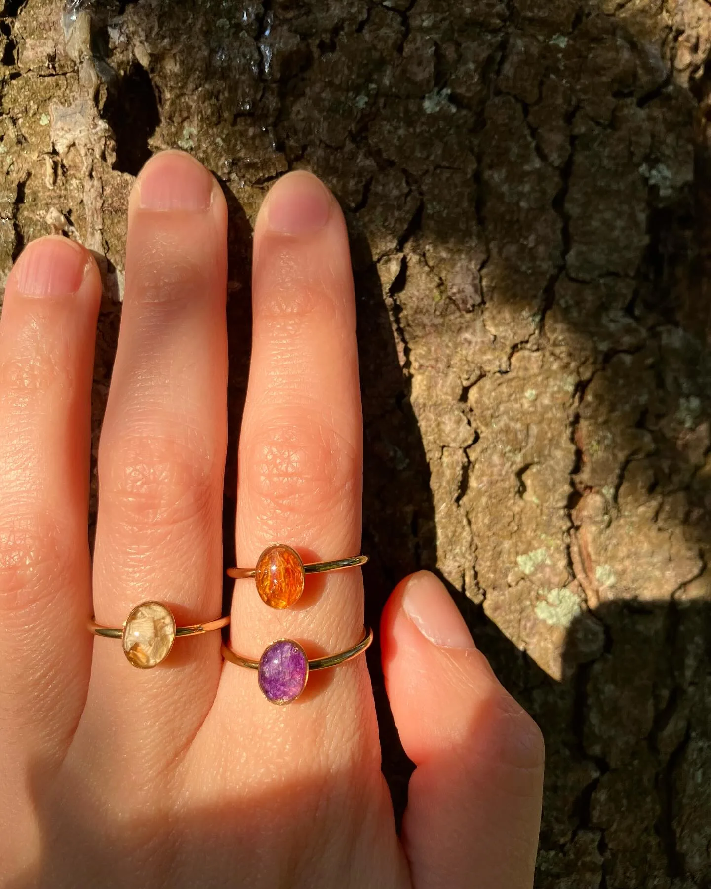 Cuatro anillos con piedras ámbar y moradas puestos en los dedos, sobre corteza