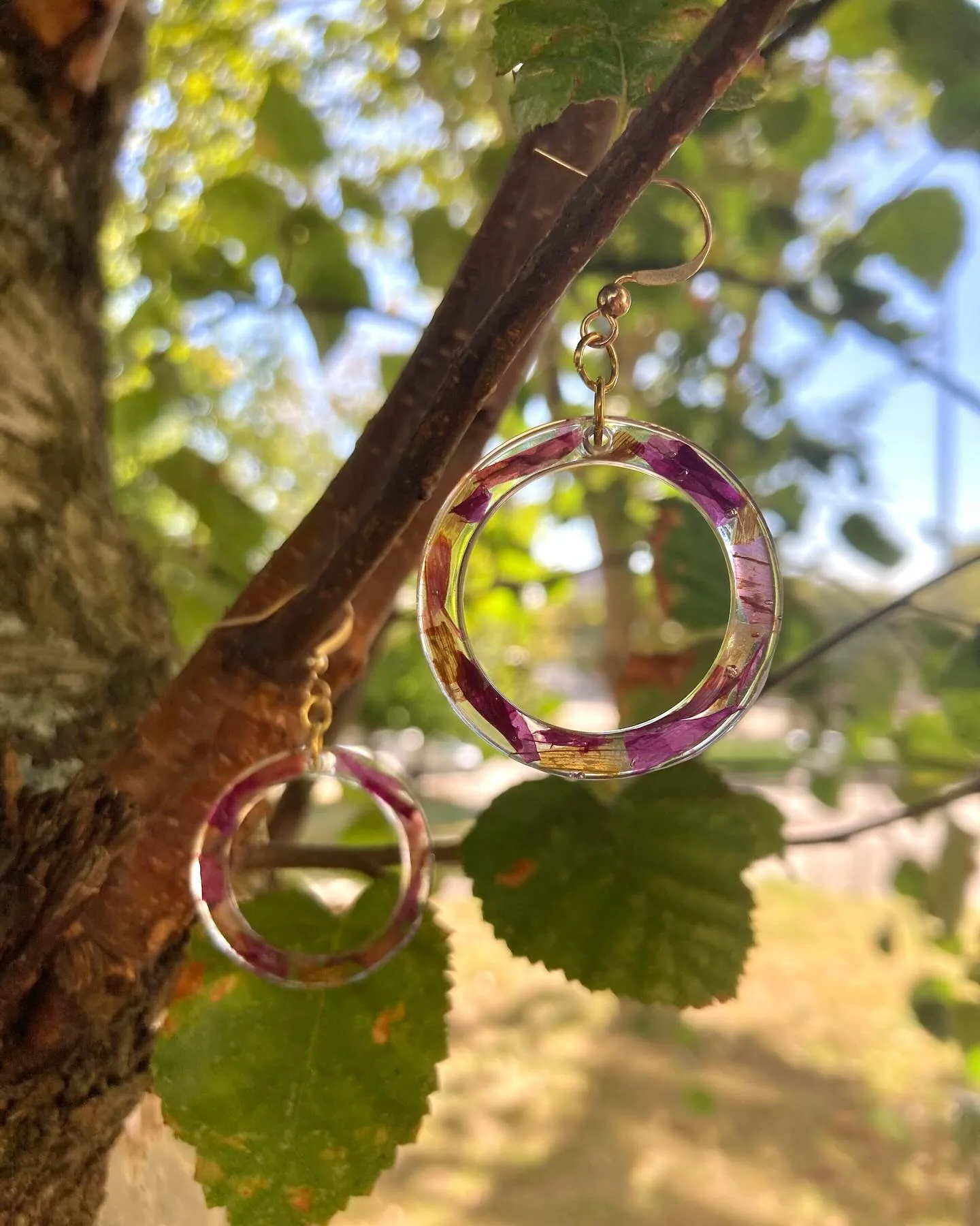 Pendientes de aro con pétalos morados colgados de la rama de un árbol al sol