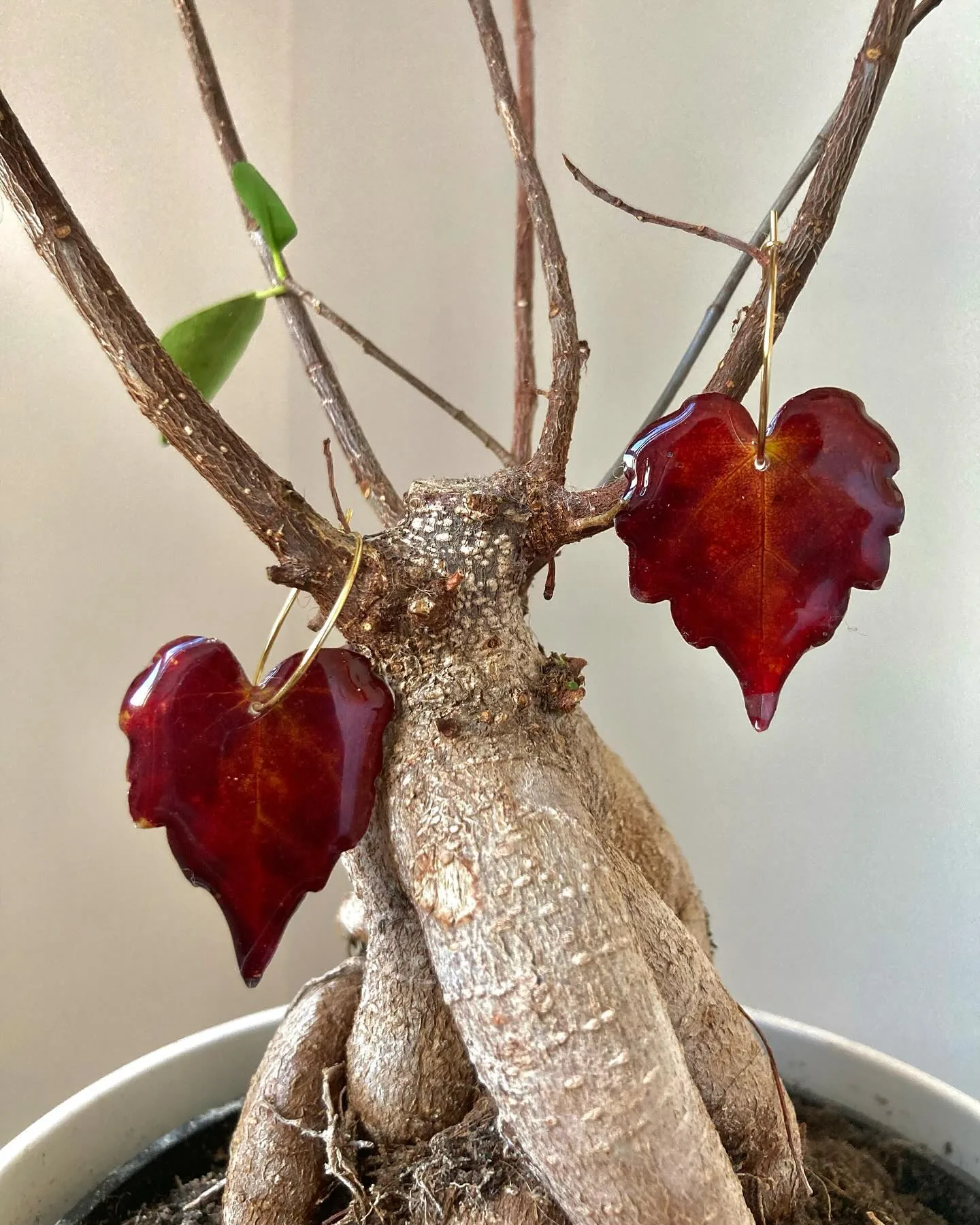 Dos pendientes en forma de hoja roja colgados de las ramas de un bonsái