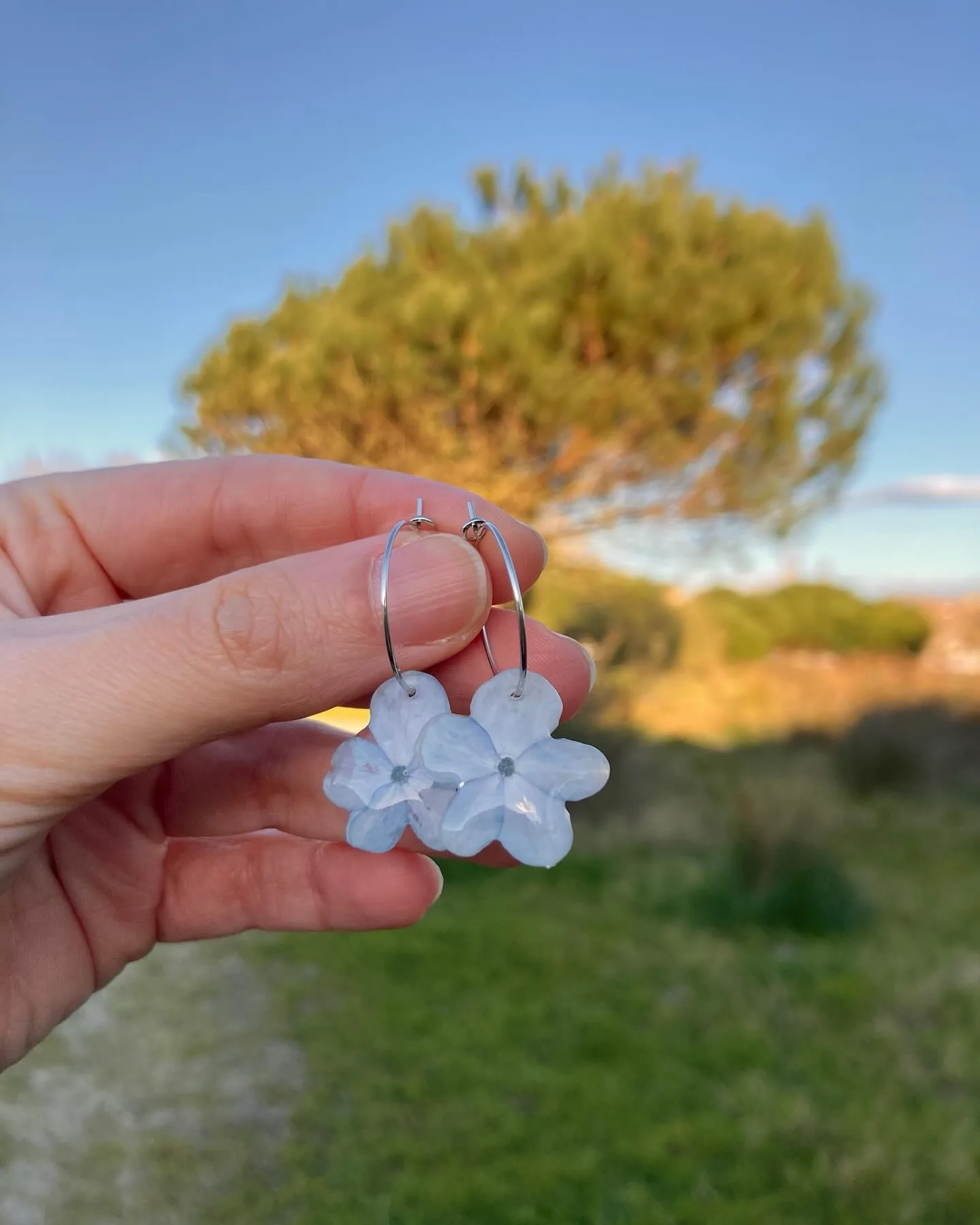 Pendientes de aro con flores de hortensia azul pálido, sostenidos al atardecer en el campo