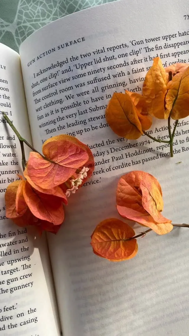 Brácteas de buganvilla naranja secándose entre las páginas abiertas de un libro